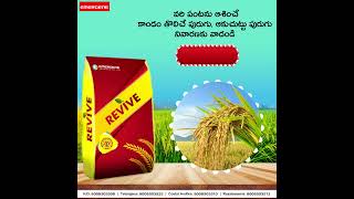 వరిలో కాండం తొలిచే పురుగు, ఆకు చుట్టు పురుగు నివారణకు, అధిక పిలకలు రావటానికి వాడండి \