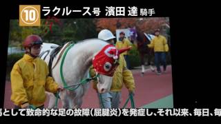 ◆馬事学院 ２０１６年　競馬レース２５勝記念動画◆バジガク（卒業式上映版）