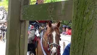 20130504 やんさんま 下村加茂神社 走馬出発\u0026帰着 [3D]