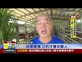 恐怖 水鹿亂撞攻擊山友肋骨斷兩根