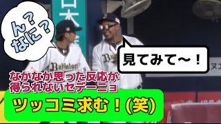 【ツッコミ求む！！】試合中にちょっと様子がおかしいセデーニョ(笑)#オリックスバファローズ #セデーニョ #石川亮 #渡部遼人 #中川圭太 #オリックスベンチ