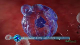 CellSearch Circulating Tumor Cell Test