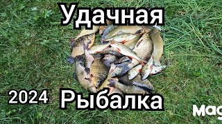 рыбалка сетями,отличный улов👍,много рыбы