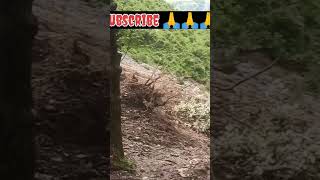 Landsliding 🥺 #shorts #viral #trending #viralvideo