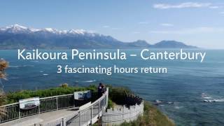 Walk Canterbury - Kaikoura Peninsula 15 second