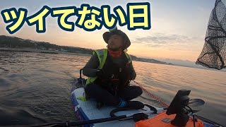 釣れたけどトラブルday　江の島でフラット狙い