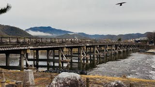 2025年1月27日(月) 冬の京都嵐山　朝の風景☁️ Winter morning in Arashiyama, Kyoto