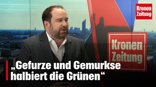 „Gefurze und Gemurkse halbiert die Grünen“ | krone.tv NACHGEFRAGT