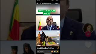 ነጭ ነጯን ከዘመዴ ጋር / የጎጃም ፋኖ እና የአማራ ህዝብ ትግል /mereja tv/ mereja tv ነጭ ነጯን/ zemedkun bekele ነጭ ነጯን