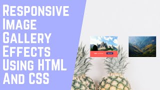 Responsive Image Gallery Effects Using HTML And CSS || Code Mark