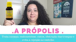 Própolis para tratar Miomas, Cistos, Endometriose e Obstrução Tubária