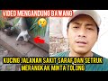 KUCING LIAR LAGI SAKIT MERANGKAK MINTA TOLONG SUPAYA DI ADOPSI LIHAT ENDINGNYA‼️