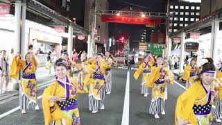 【いよさこい‼華魅　2023　こころ踊る】第70回　よさこい祭り　菜園場競演場　2023/08/10