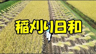 210920 バインダーで稲刈り