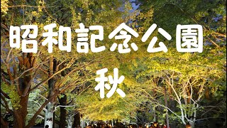 0126【昭和記念公園】秋【黄葉紅葉まつりと秋の夜散歩】