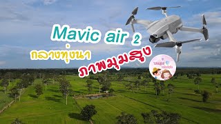 บินโดรน  ถ่ายภาพมุมสูง กลางทุ่งนา  :  Mavic Air 2