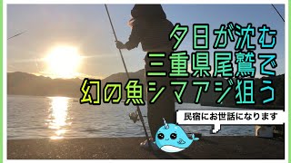 三重県尾鷲市で民宿泊まってフカセ釣り