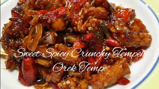 Sweet Spicy Crunchy Tempeh / Orek Tempe Indonesian Culinary - Magnetic Ninda