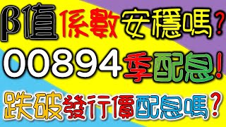 ETF00894季配領息存股術！跌破發行價是否能配息？退休長期安穩領息嗎？風險係數BETA值檢驗波動度！｜我們這一家