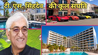 छत्तीसगढ़ के टी.एस. के पास कुल कितनी संपति हैं ? | TS Singh Dev Net Worth | TS Singh Dev Property |