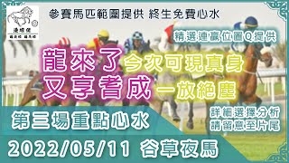 港經佬賽馬貼士及分析｜第三場參賽馬匹資料｜11-05-2022 跑馬地九場夜馬谷草賽事｜免費心水及賽馬貼士｜全方位博彩及投資頻道｜足球｜賽馬｜股票｜樓市