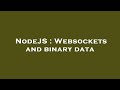 NodeJS : Websockets and binary data