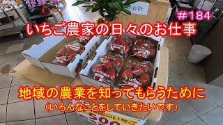 地域の農業を知ってもらうために（いろんなことをしていきたいです）　いちご農家の日々のお仕事　＃１８４