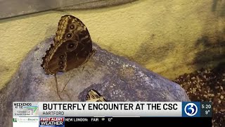 WEEKENDS AT THE SCIENCE CENTER: Butterfly Encounter