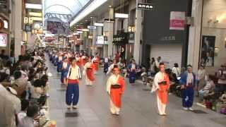 爽郷やまもと連 ~2015よさこい祭り本祭2日目（帯屋筋）