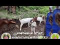 በወረባቦ ወረዳ በ2017 ዓ.ም በ1ኛ ሩብ አመት በየቀበሌወች የተከናወኑ ስራወች