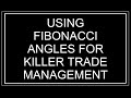 SECRETS TO KEEPING STOP LOSSES TIGHT BUT LET PROFITS RUN USING FIBONACCI ANGLES IN NINJATRADER8