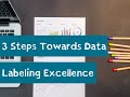 3 Steps Towards Data Labeling Excellence