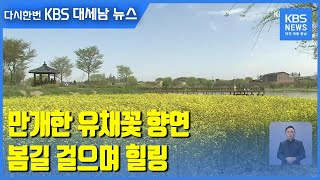 만개한 유채꽃 향연…봄길 걸으며 힐링 / KBS 2021.04.17.