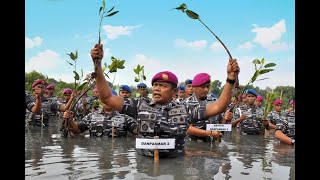 Cegah Abrasi, Komandan Pasmar 2 Bersama Prajurit Menbanpur 2 Mar Tanam Mangrove