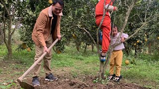 CEO Returns to Hometown Rural in Vietnam - Gardening, Growing Vegetables, Cleaning, Cooking.