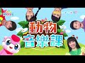 《忍者哈特利》《動物音樂課》《原子小金剛》《波力》《彩色棉花糖》第22季 第6集｜香蕉哥哥 月亮姐姐｜金曲｜唱跳｜兒歌｜yoyo點點名