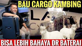 CARGO KAMBING DI PESAWAT!! PESAWAT CAPT SYAHREZA BERBADAN LEBAR PENUH DGN BATERAI LITHIUM! KUPKISPIL