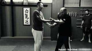 Randori Dojo | Aikido \u0026 Self Defense Seminar - June 2022