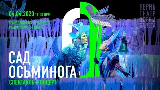 Сад осьминога. Опера для детей | Octopus's Garden