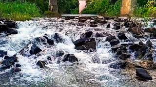 Mandapathinkadavu bridge  (കണ്ടിരിക്കേണ്ട ഒരു കാഴ്ചയാണ് )