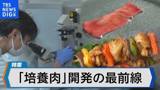 食の未来を救う「培養肉」とは 2040年には食肉消費の35％を占める？【Bizスクエア】｜TBS NEWS DIG