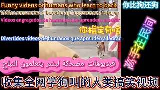 Video collection of the best people who can learn to bark like dogs#smart dog#crazy#funny#cute dog