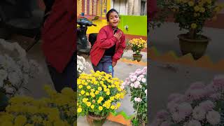 #youtubeshort #dance #video #bbygirl #trandingshort #srija  r video ❤️❤️💃💃