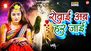 Rovai Ab Harjai#Bewafai_Song#दिल का दर्द#Bewafai Gana #Sad Ghazal #Zakhami Dil Song 2025