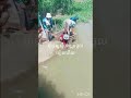 using net to catch fish