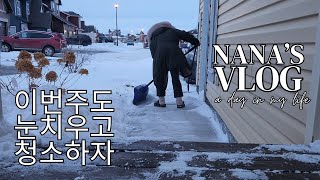 캐나다시골주부Vlog✨눈부터 치워야돼! 얼면 머리깨져. 오늘의 아이템은 습식청소기