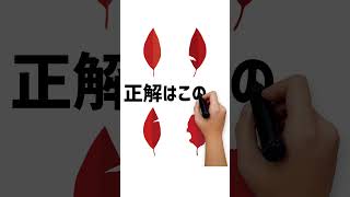 どの葉っぱが見えましたか？ #動体視力検査 #動体視力テスト