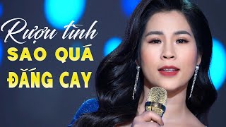 CÀNG NGHE CÀNG SAY Với Tiếng Hát Bolero Dịu Dàng Này | Tuyệt Phẩm Nhạc Vàng