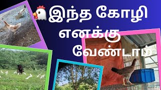 🐔இந்த கோழி எனக்கு வேண்டாம்.#kozhi_koothugal #funny #funny_chicken .RKR FARM.....