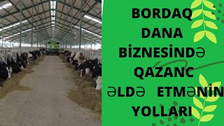 BORDAQ DANA BIZNESINDƏ QAZANC GÖTÜRMƏ YOLLARI Qaramalın kökəldilməsi